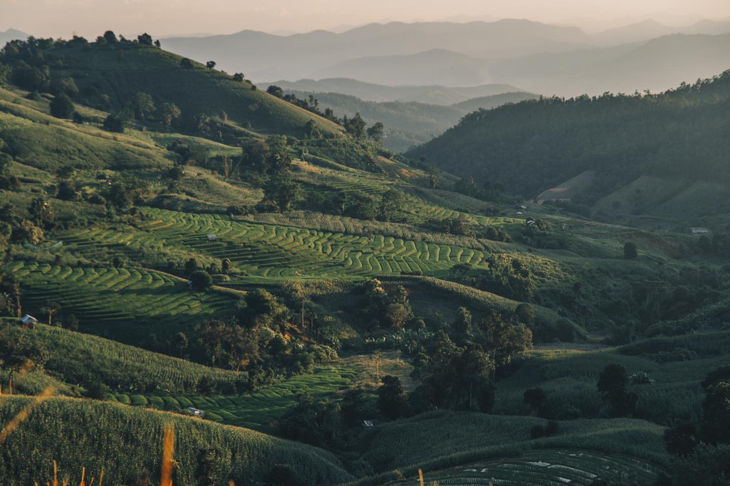 ป่าบงเปียง