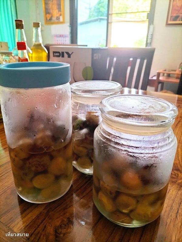 ไซรัปบ๊วย วิธีทำ Ume Syrup สูตรเครื่องดื่ม