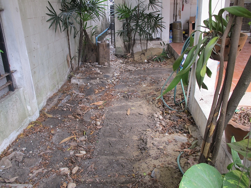 จัดสวนข้างบ้านทาวน์เฮ้าส์