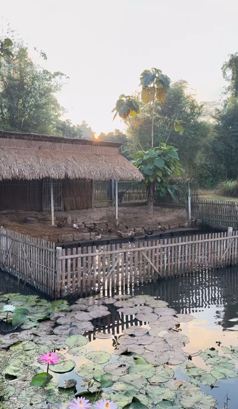 แอน ทองประสม