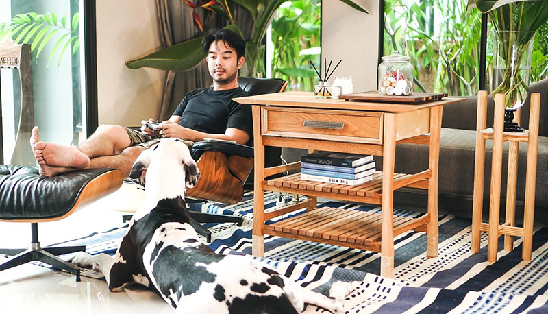 กวาง AB Normal