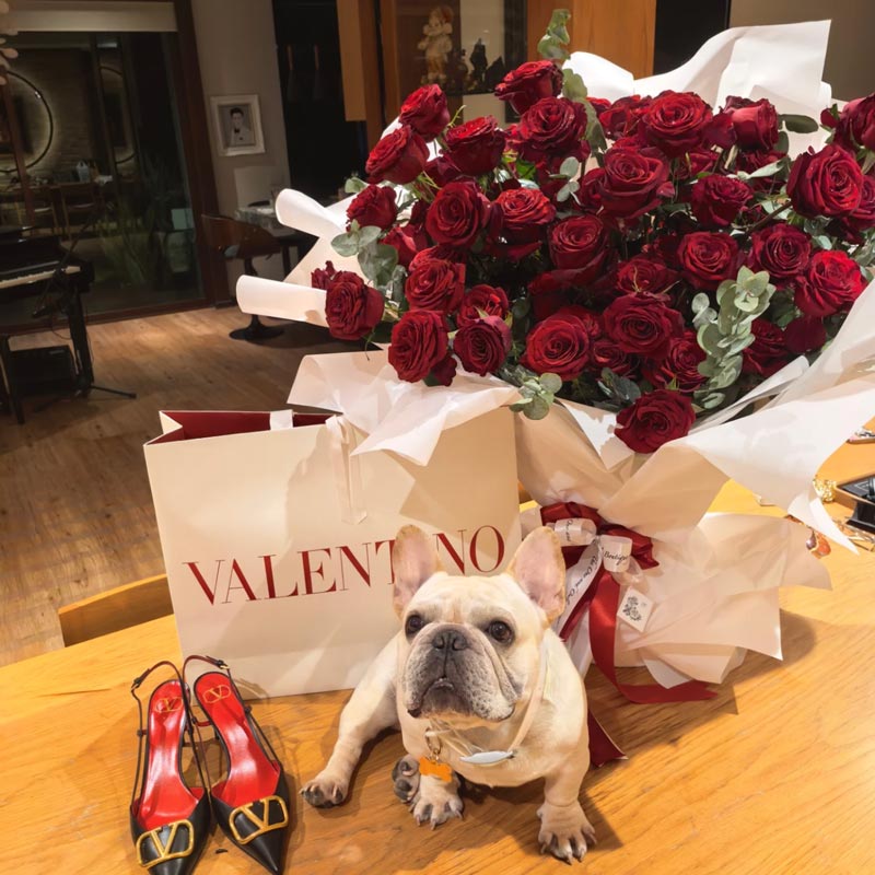 มิเรียน ดีเจพีเค ครบรอบ 9 เดือน