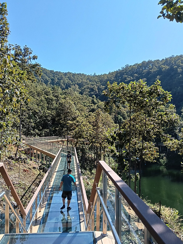 สกายวอล์กเขื่อนแม่งัด เชียงใหม่
