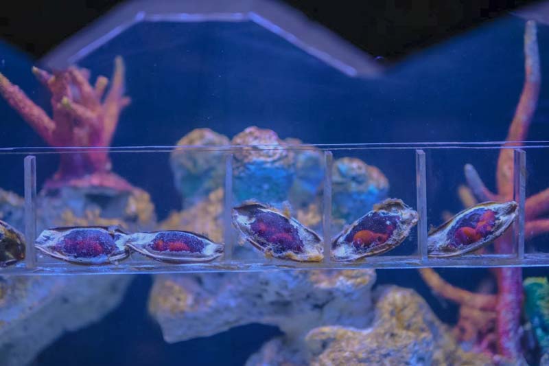 Aquarium สวนสัตว์เชียงใหม่ 