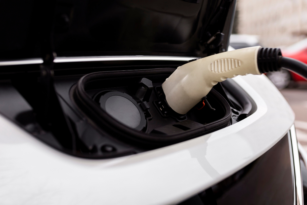 reev phev