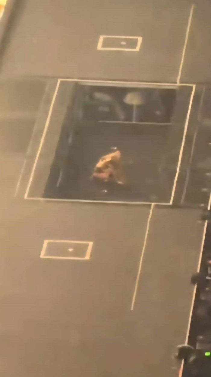 ลิซ่า BLACKPINK