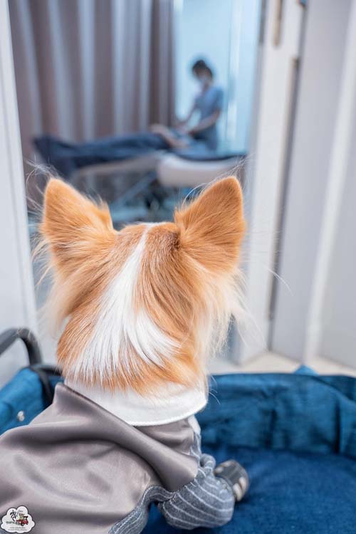 คลินิกความงาม  