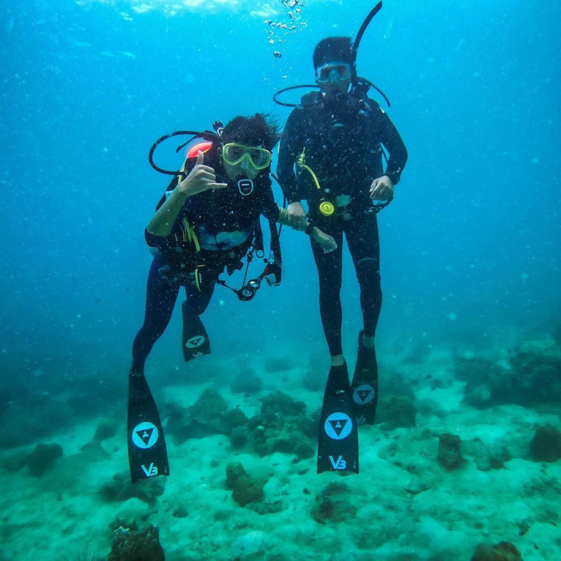 สายป่าน อภิญญา 