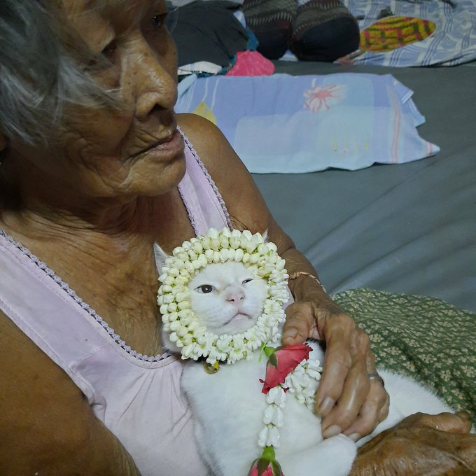 ไหว้แม่