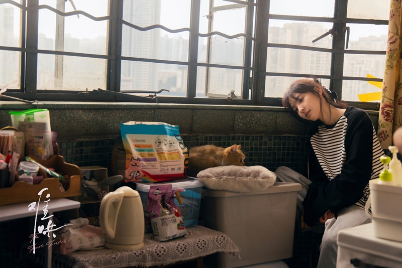 วันนี้วันไหนยังไงก็เธอ เรื่องย่อ