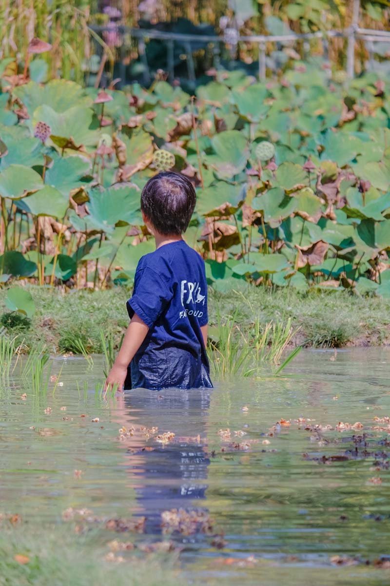 GFarm ฟาร์มและคาเฟ่เด็ก