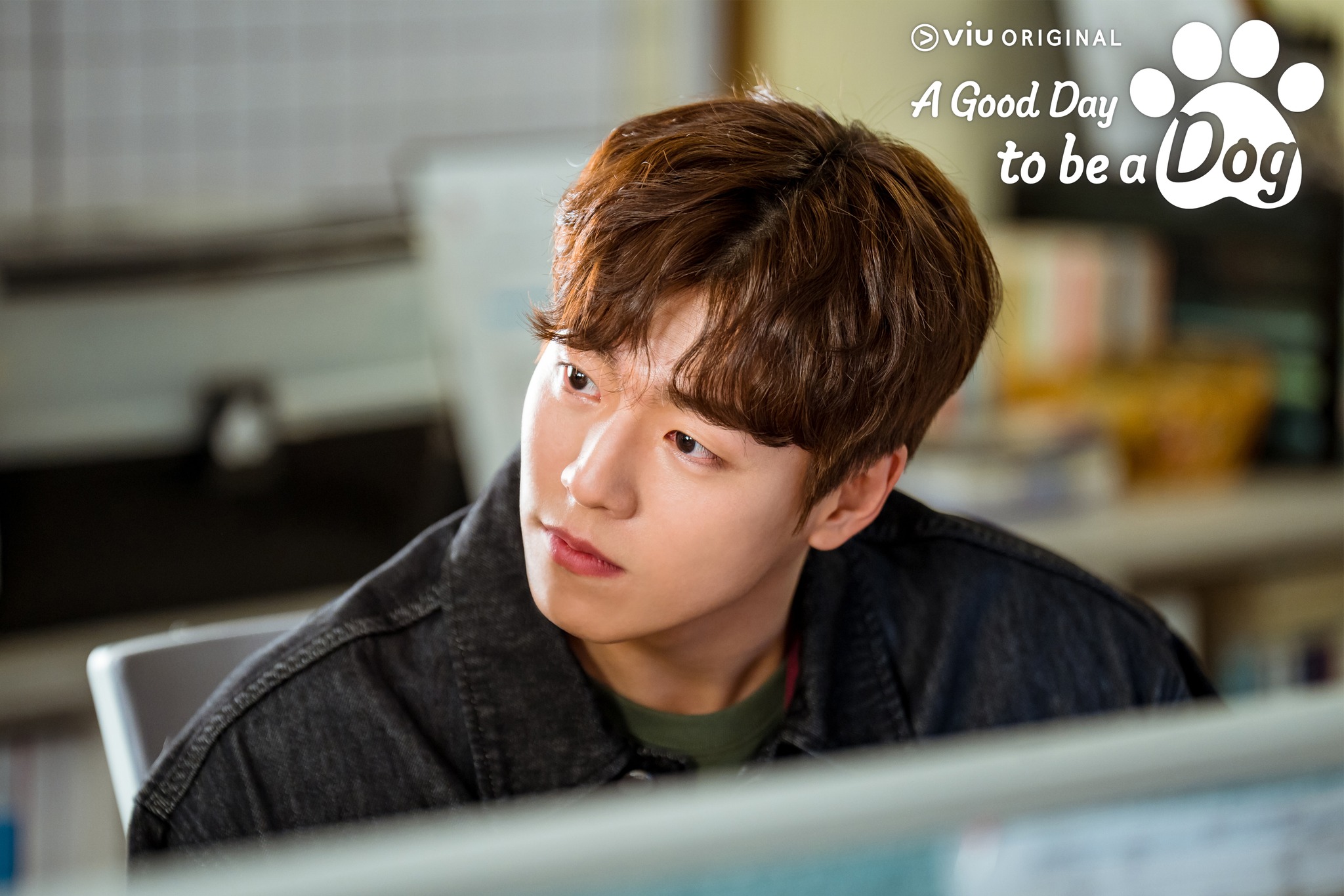 รีวิว A Good Day to be a dog ซีรีส์เกาหลี โรแมนติกแฟนตาซี ของ ชาอึนอู
