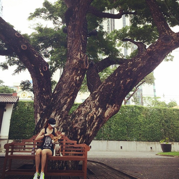 บ้าน อากู๋ ไพบูลย์