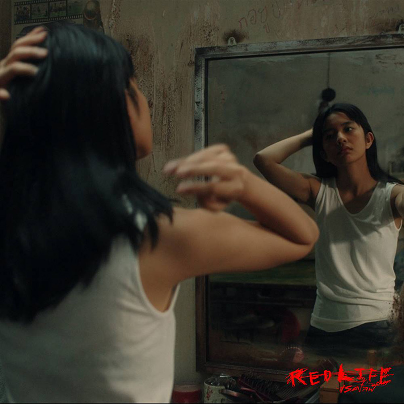 เรื่องย่อ เรดไลฟ์ RedLife