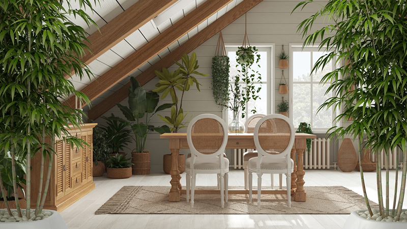 ฮวงจุ้ย 2569