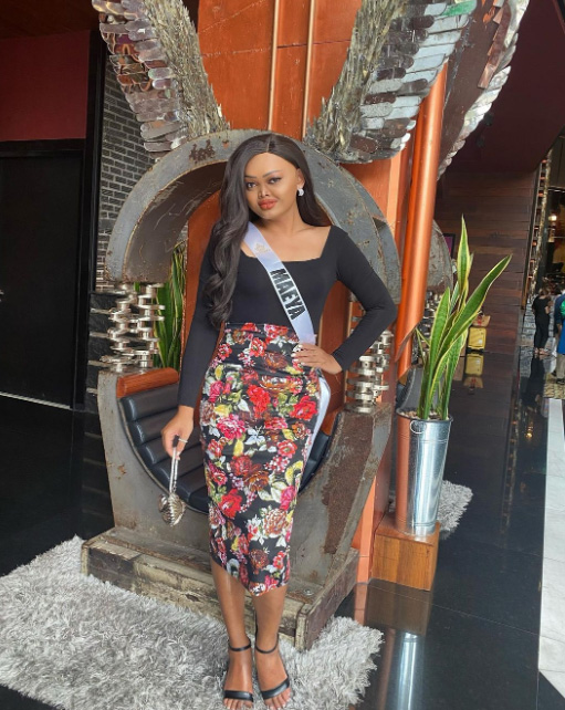 เมญ่า ซันซัน ประวัติ