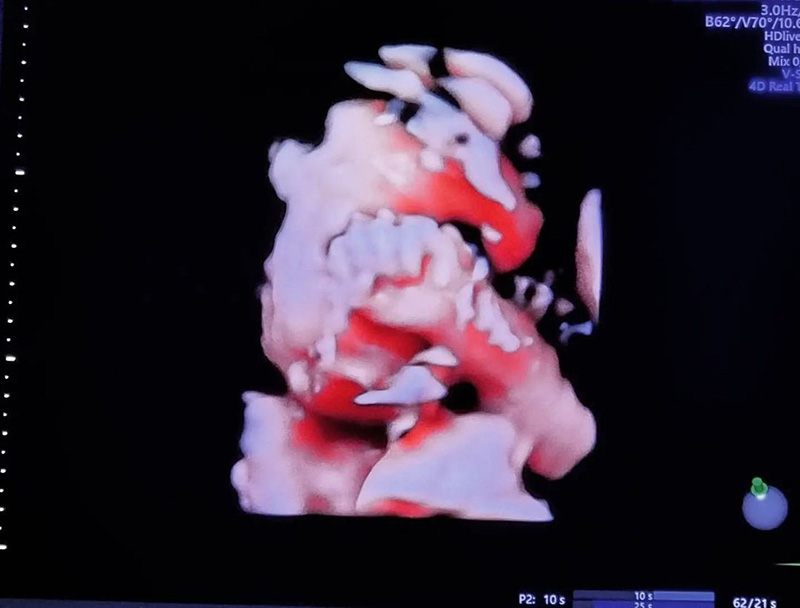 เชอรีน ณัฐจารี 