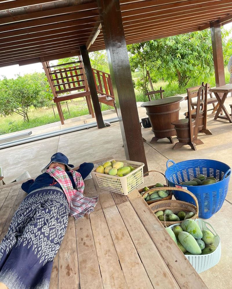 บ้านสวนณเดชน์