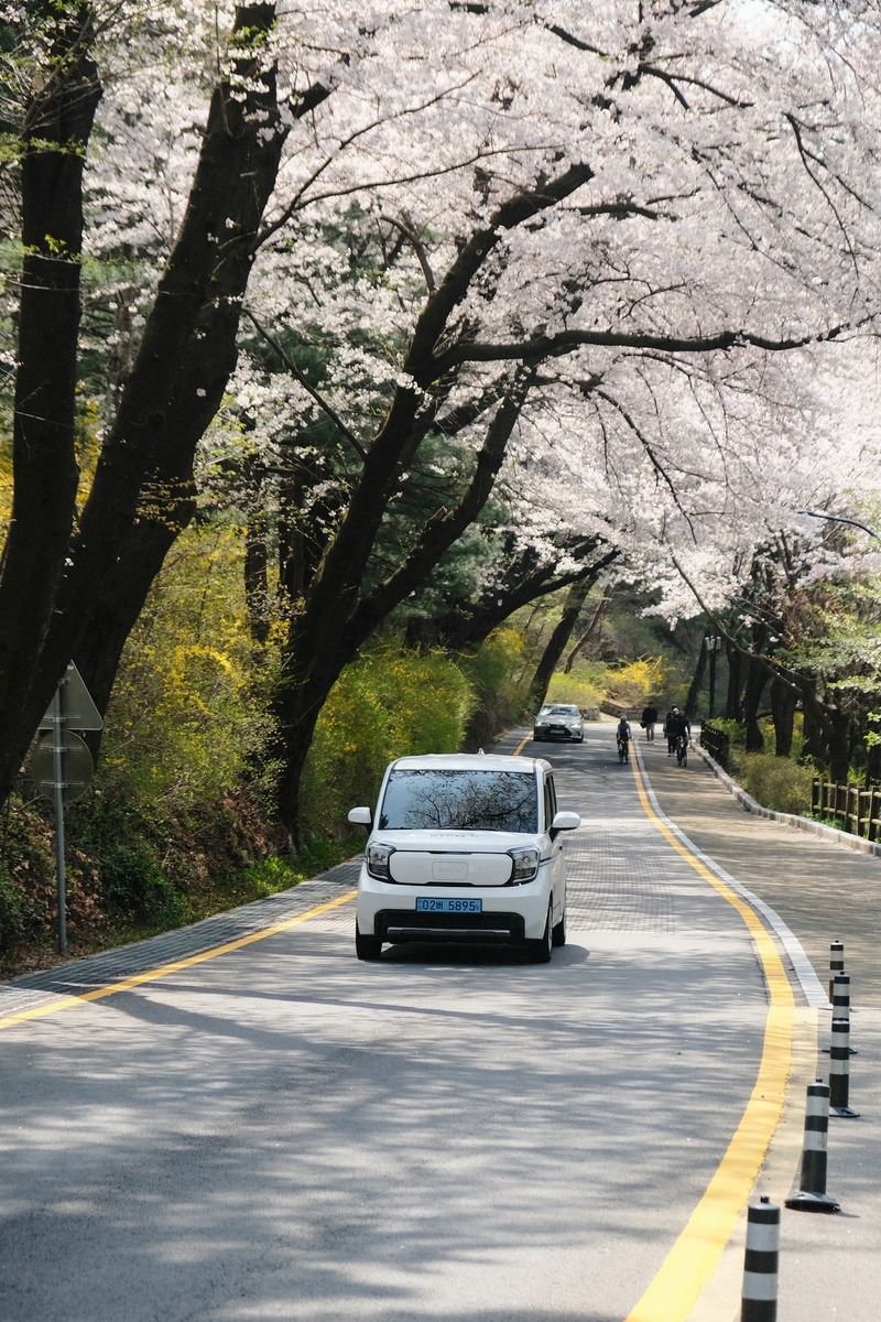 Namsan Seoul Tower