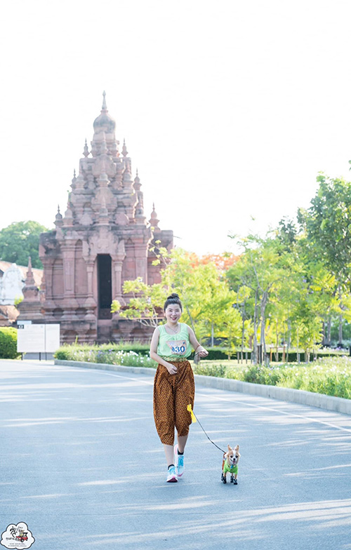 งานอยากวิ่งกับหมา  