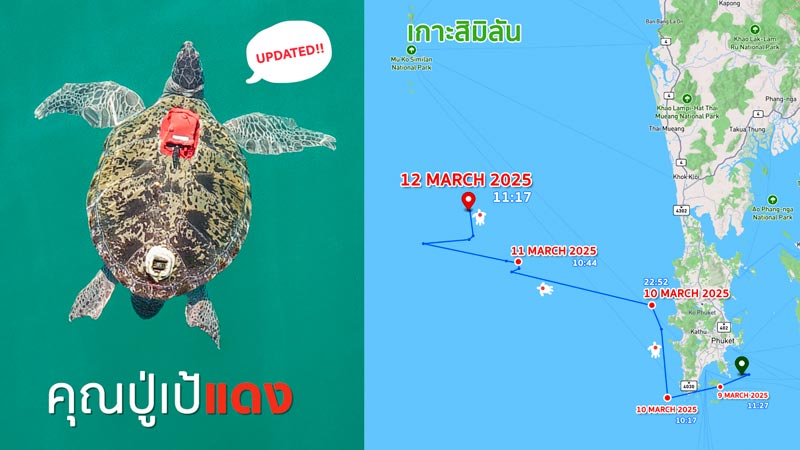 อัปเดตเส้นทางที่คุณปู่เต่าตนุเป้แดง