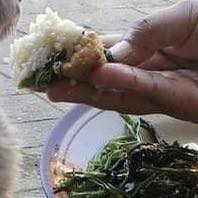 ป้อนข้าวแมว