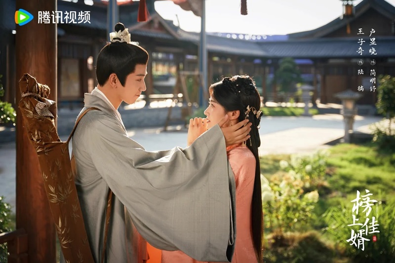 ราชบุตรเขยที่รัก Serendipity ซีรีส์จีน