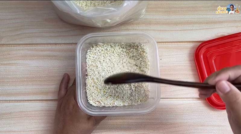 วิธีหุงข้าวเสาไห้