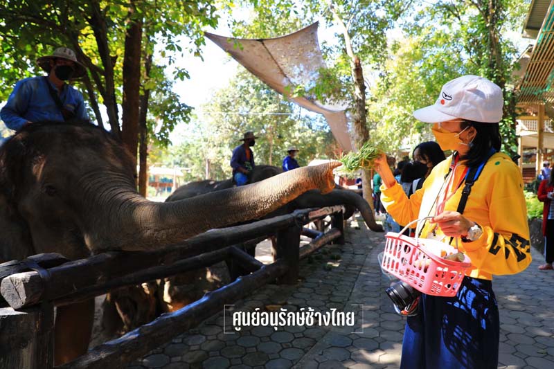 ที่เที่ยวลำปาง Lampang