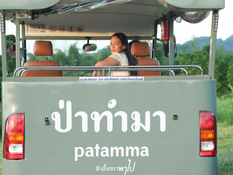 ป่าทำมา 