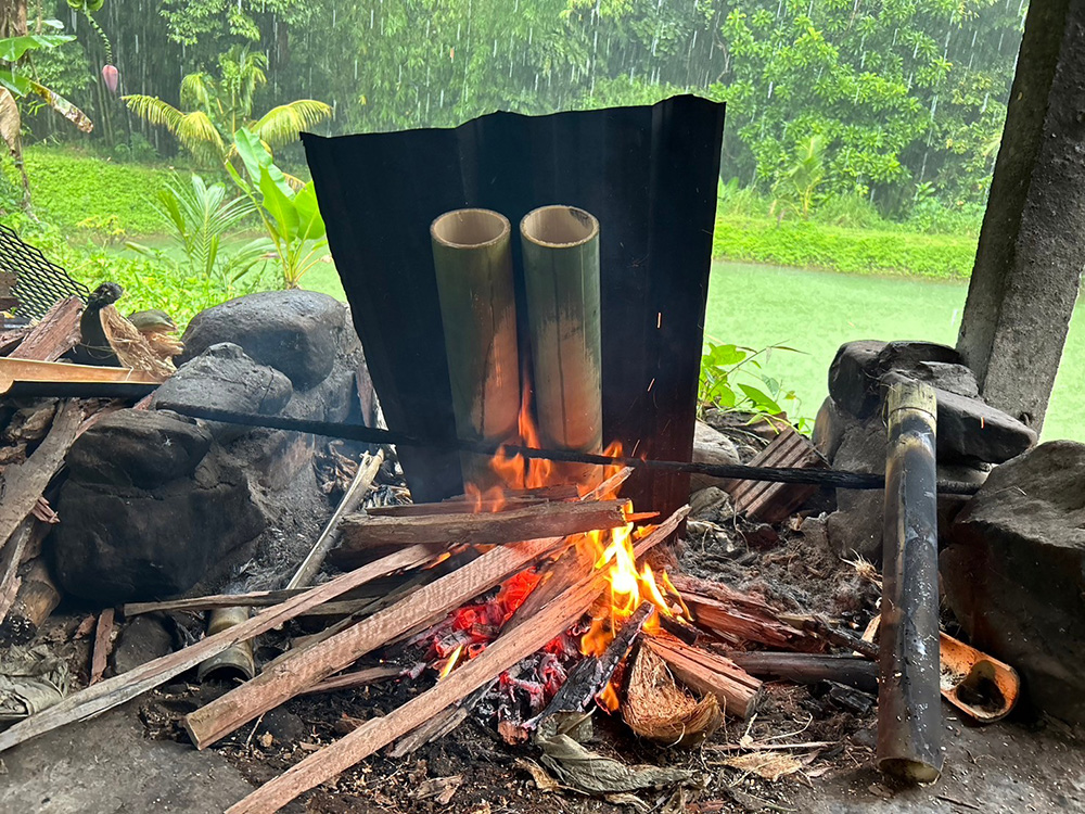 ที่เที่ยวสุราษฎร์ธานี