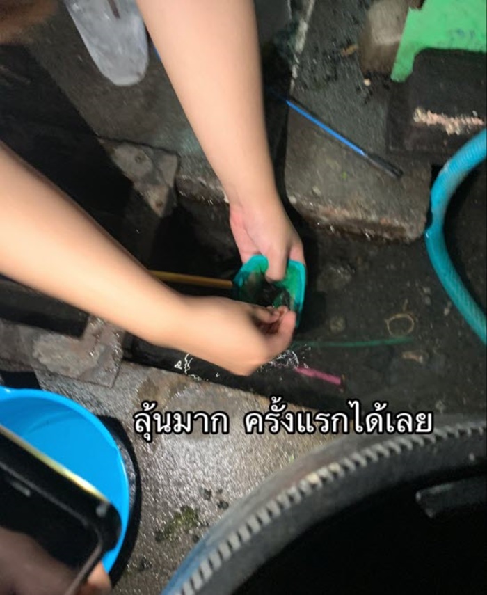 ปลาในท่อ