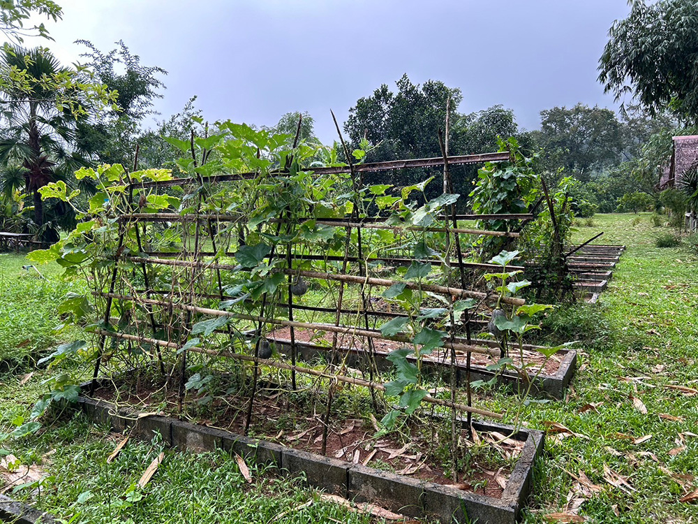 ที่เที่ยวสุราษฎร์ธานี