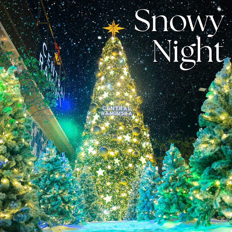 พิกัดถ่ายรูปหิมะตกในไทย เซ็นทรัลรามอินทรา