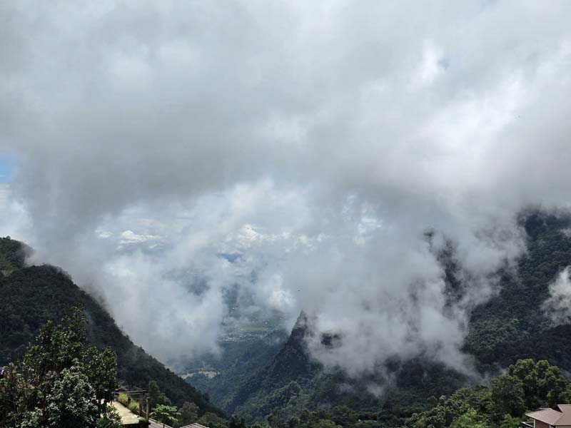 กาแฟผาฮี้