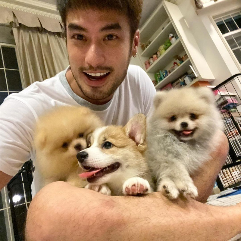 บอย ปกรณ์