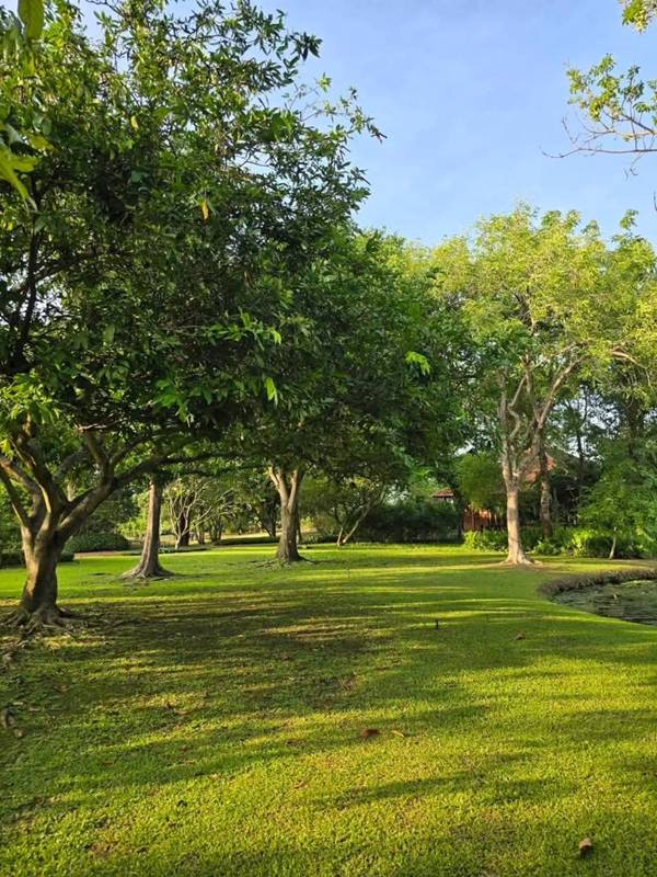 บ้านสวน ป้าจิ๊ อัจฉราพรรณ