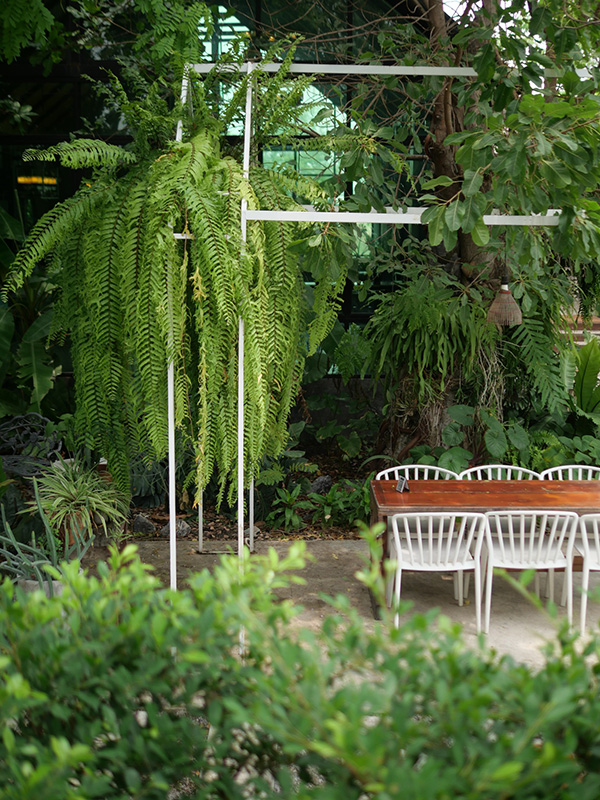 คาเฟ่สิงห์บุรี