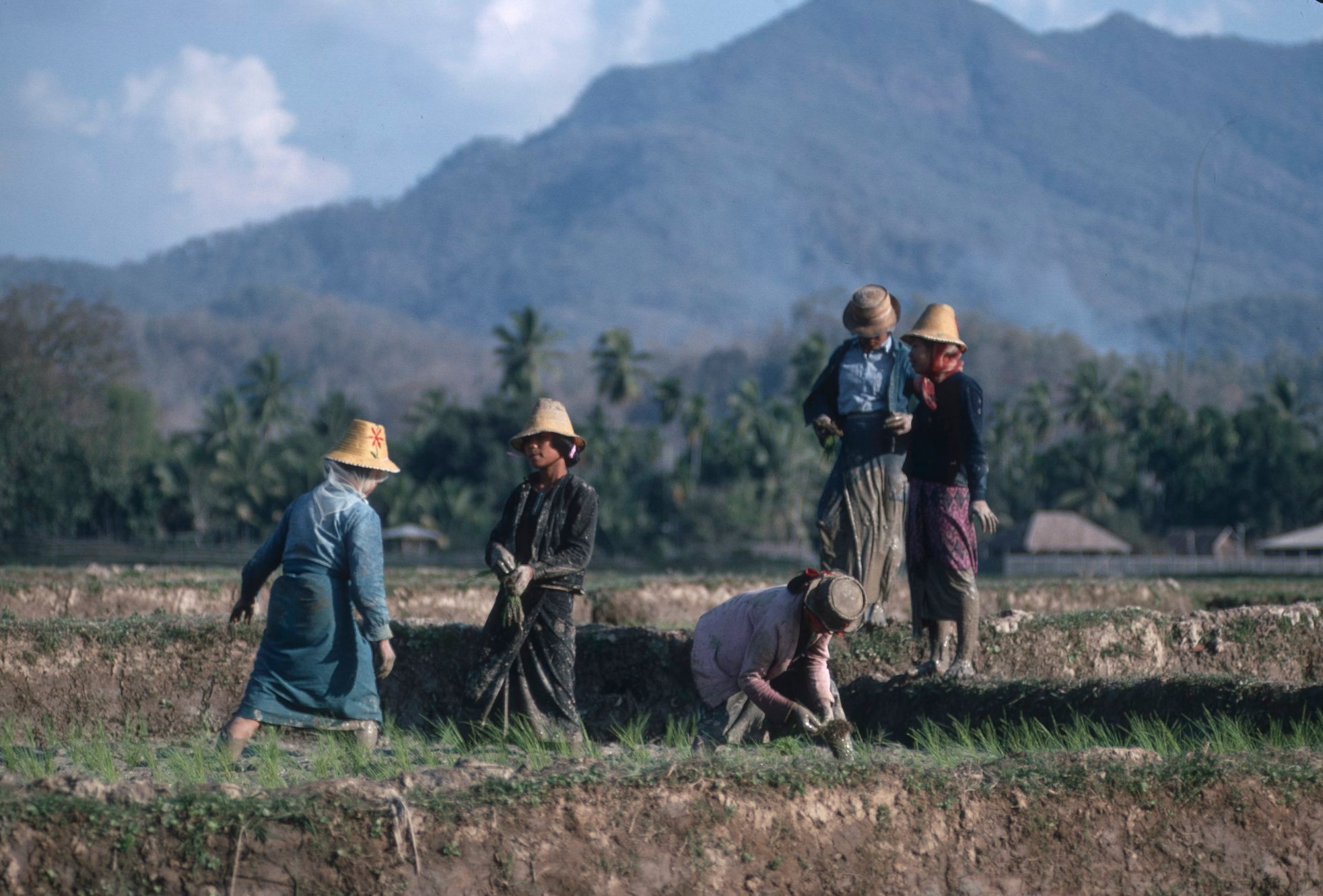 แม่ฮ่องสอน