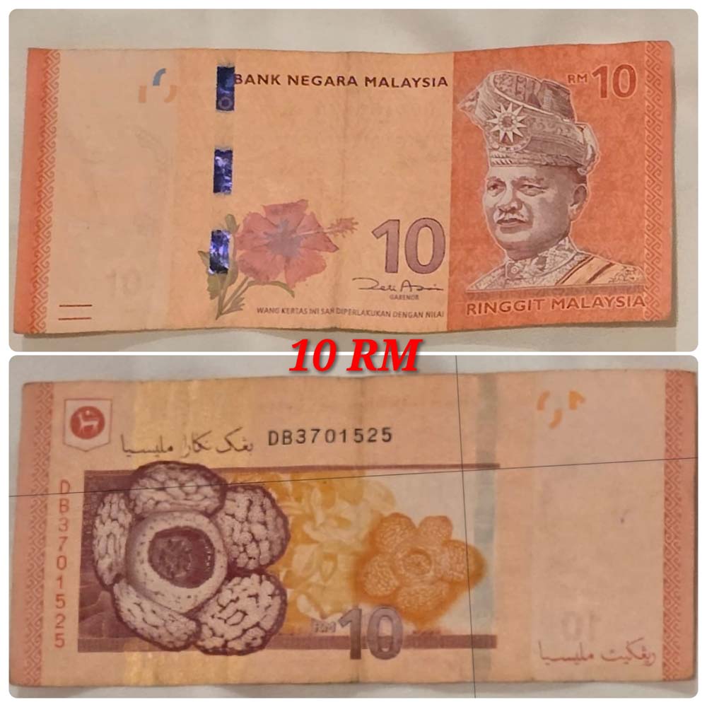 ริงกิตมาเลเซีย