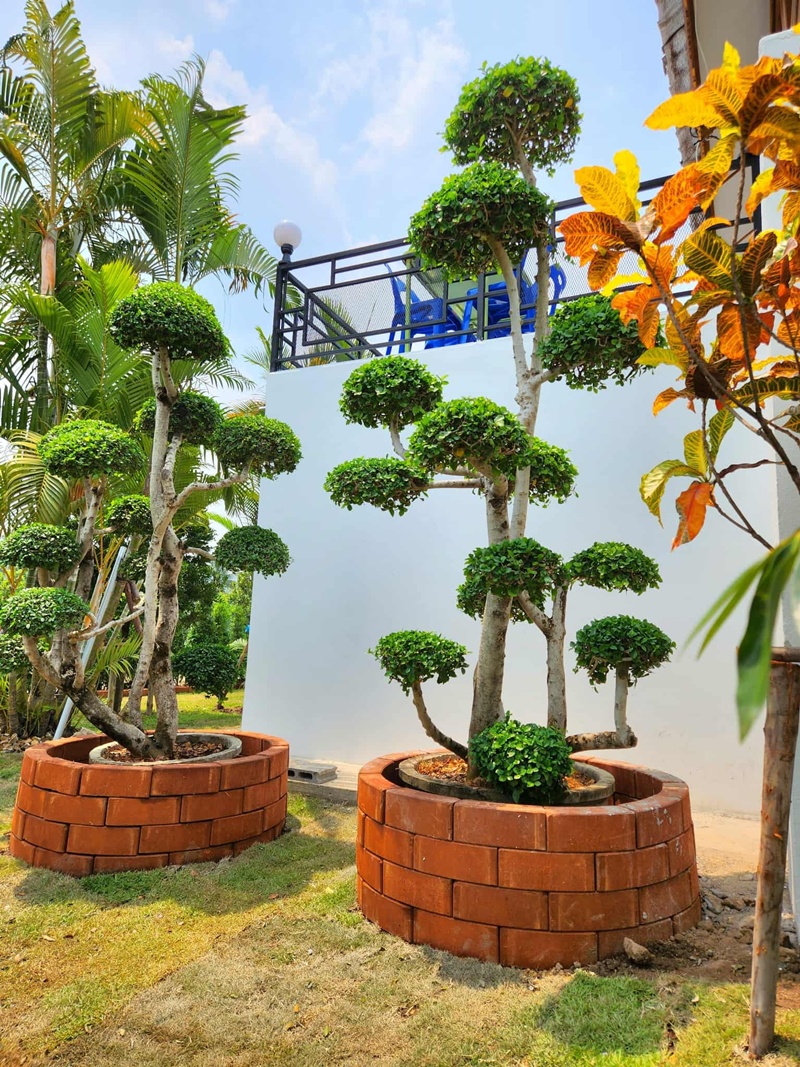 บ้านกลางทุ่ง