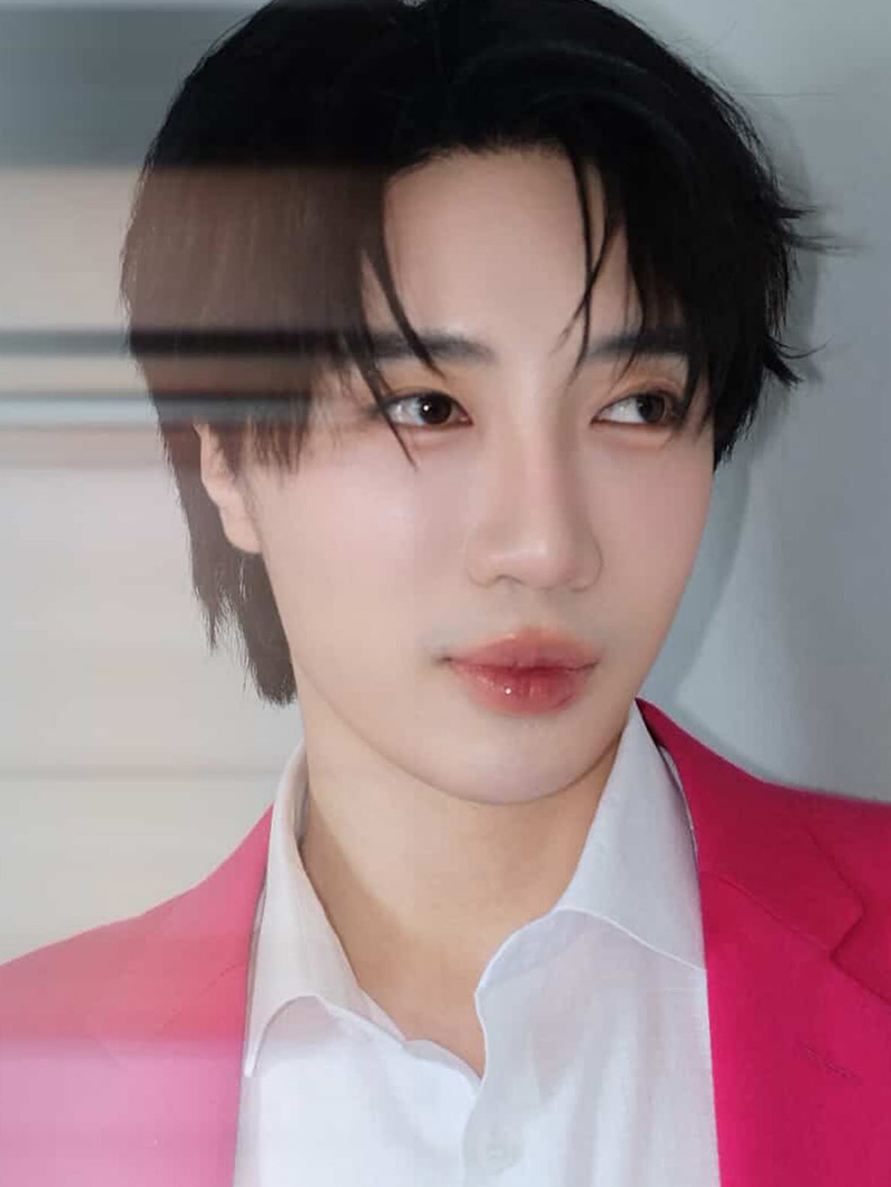 เปิดคอมเมนต์ ใบเฟิร์น