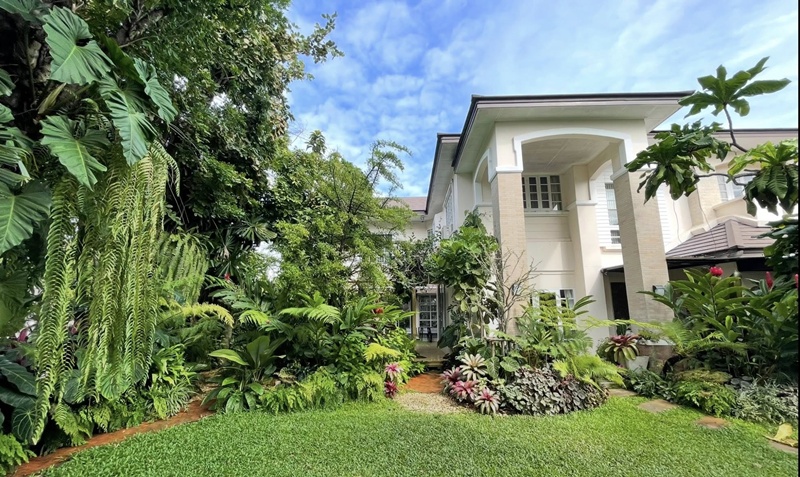 บ้านเก่า