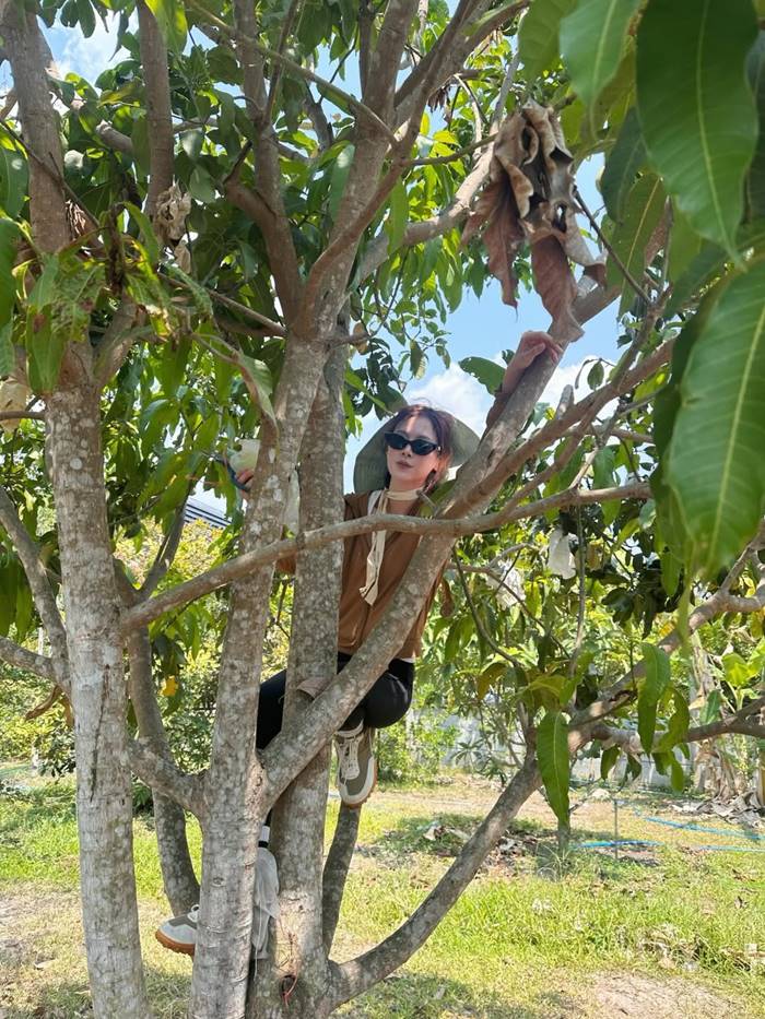 ใบเฟิร์น พิมพ์ชนก