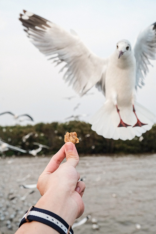 สถานตากอากาศบางปู