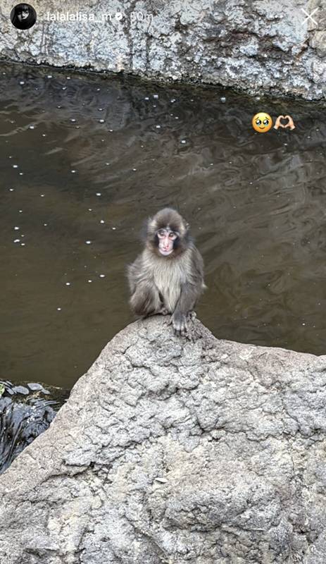 ลิซ่า ไปหาพันช์คุง