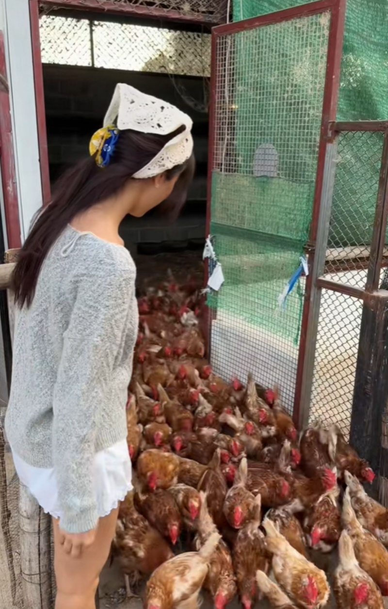 มิ้นต์ ชาลิดา