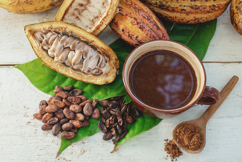 Cacao
