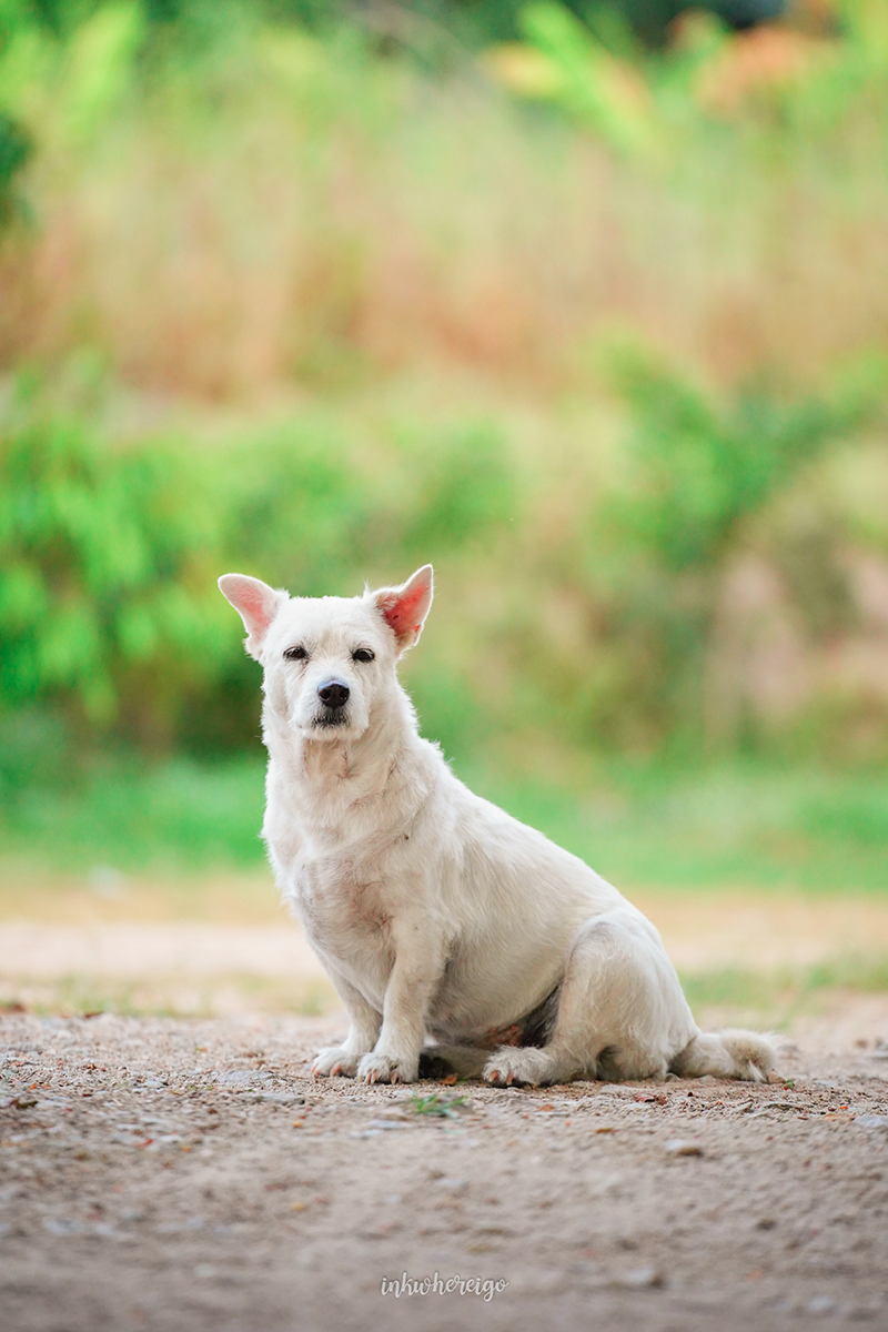 อ่างเก็บน้ำห้วยท่าเคย ราชบุรี