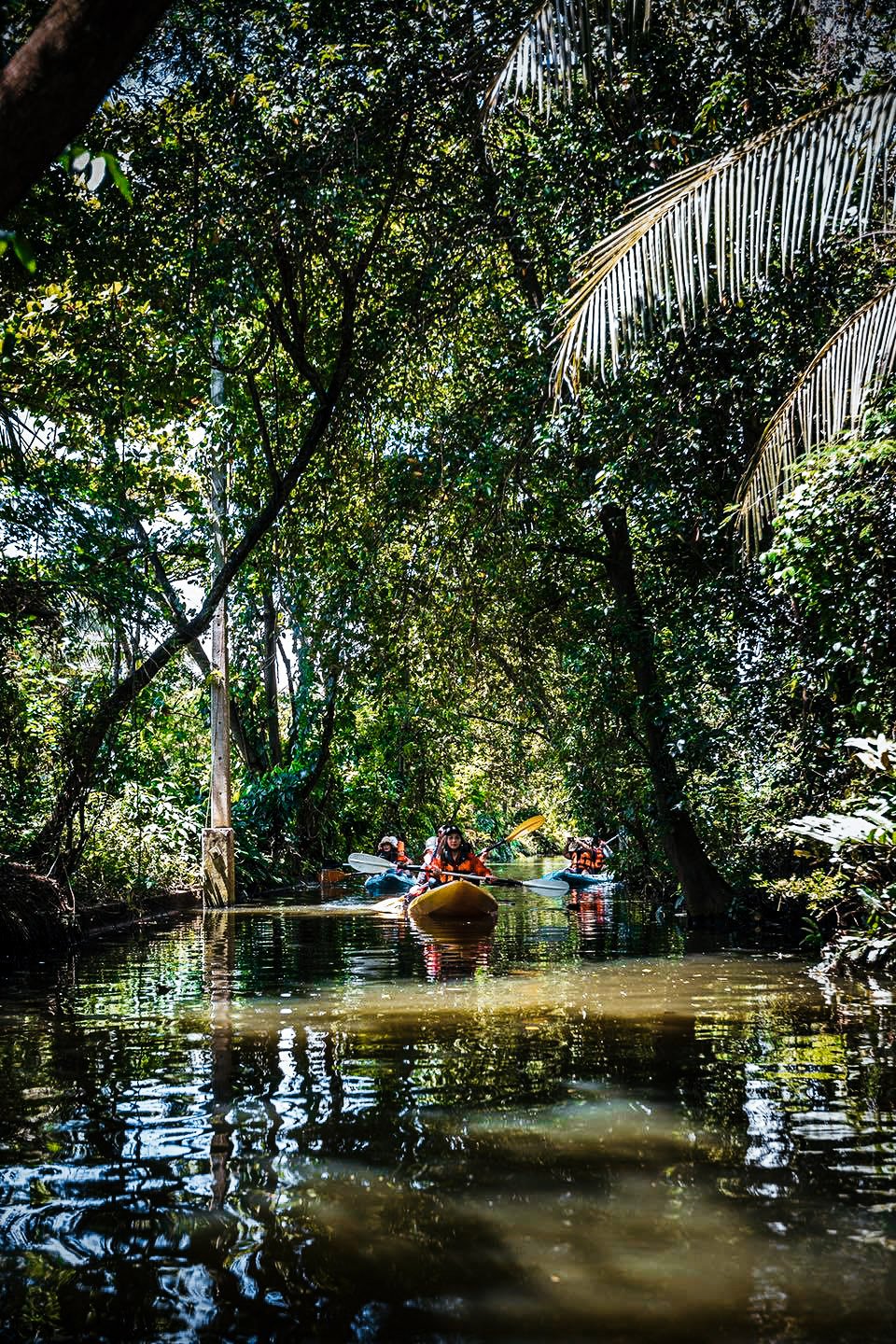 ล่องเรือคายัค